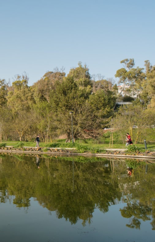 Alto do Rio - Vanguard Properties