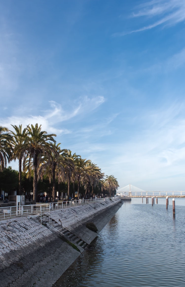 Tagus River Bay - River Bank Tejo Vanguard Properties