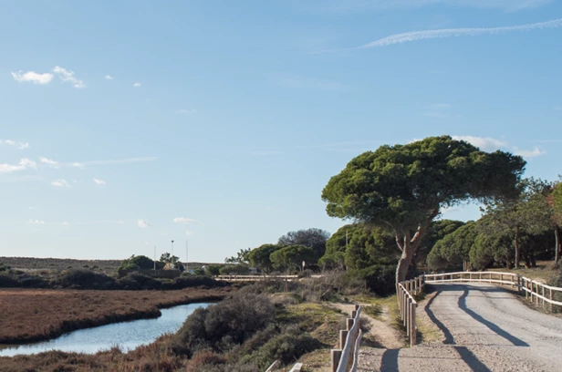 The Shore Residences Tranquilidade - Vanguard Properties