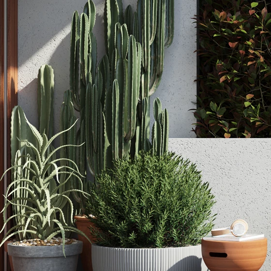 Design Details  - Tomás Ribeiro 79
