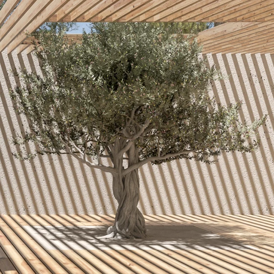 Muda Reserve Design - Vanguard Properties
