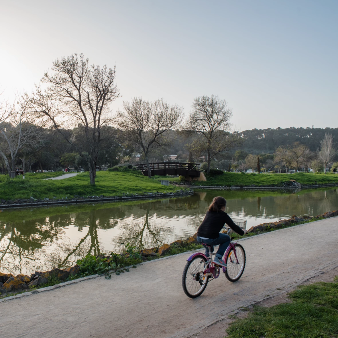 Galeria ALTODOFAROL SLIDERCONTENT Bicicleta