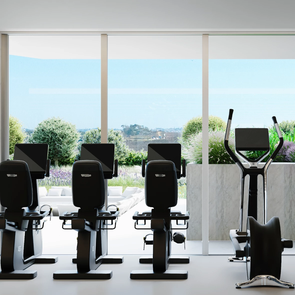 Gym Bayline