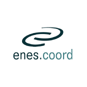 Enes Coord. Logo | Vanguard Properties