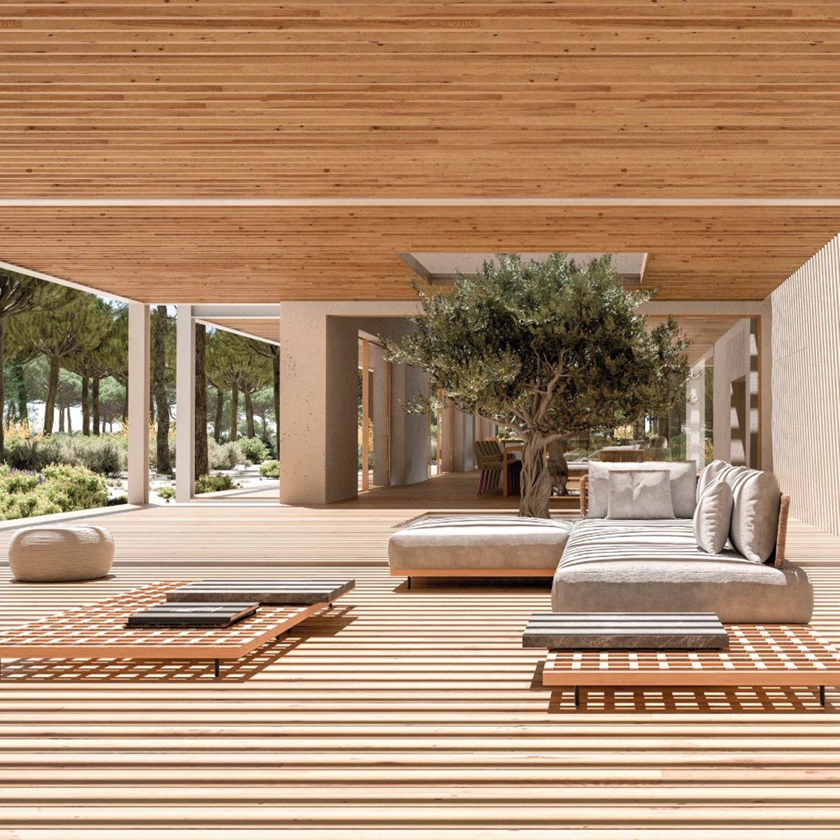 Village Farms | Muda Reserve