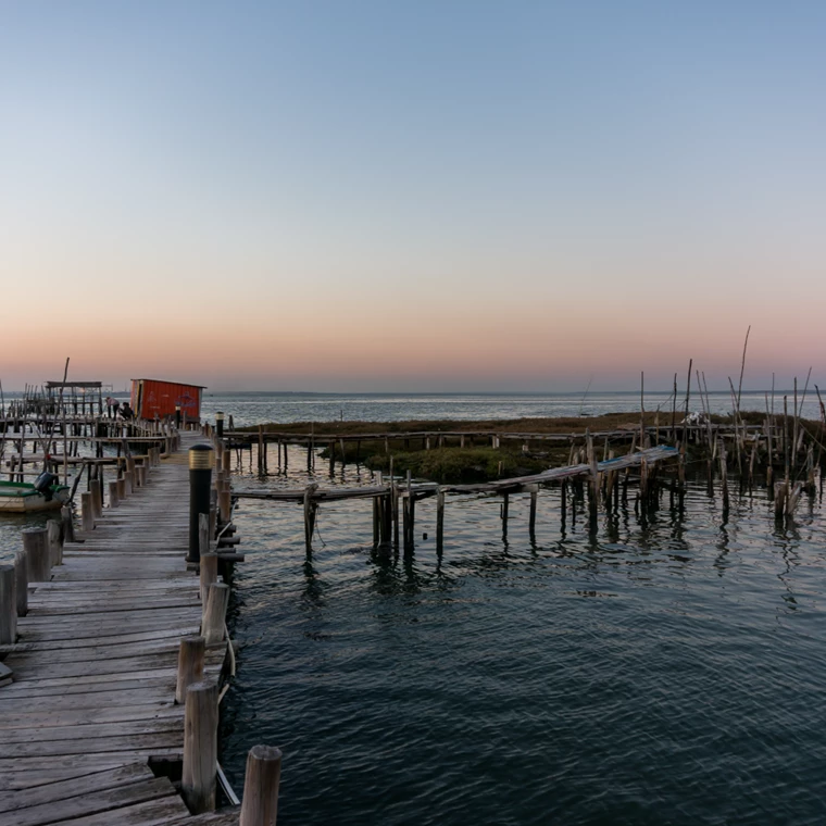 Comporta1