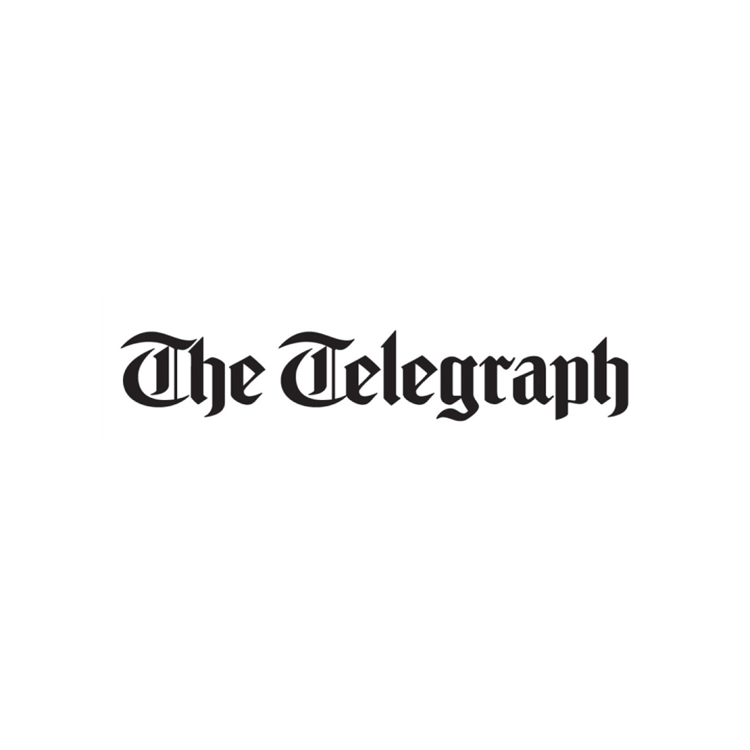 Telepgraph Media Logo