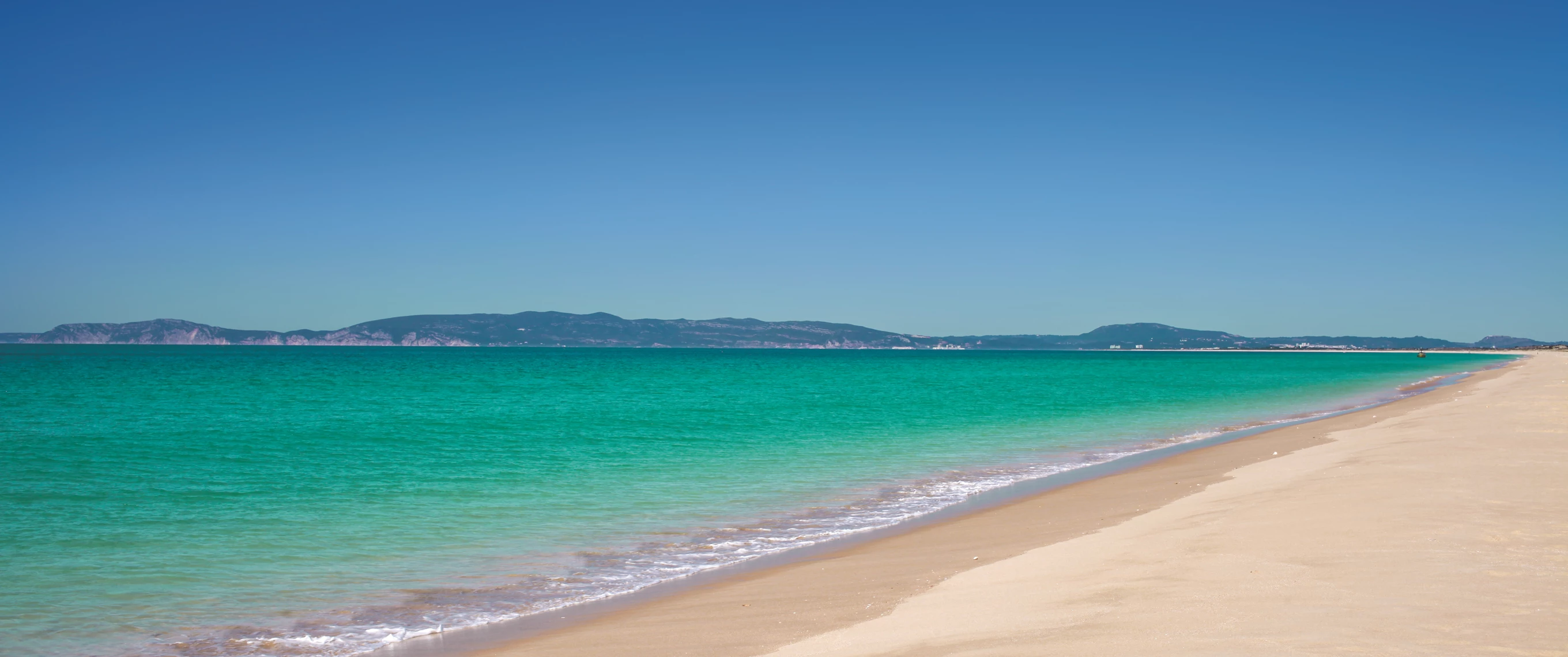 Luxury Houses near Comporta beach Portugal