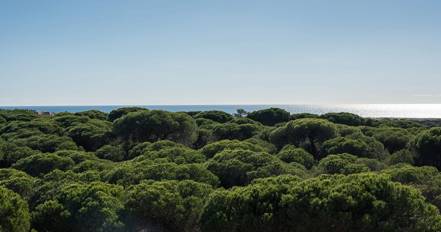 Vealgarve 19
