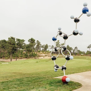 João Louro Happiness Molecule
